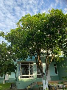 Villa 108, 303 - Eureka Linh Trường