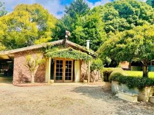 The Cherry Blossom Suite - Emerald