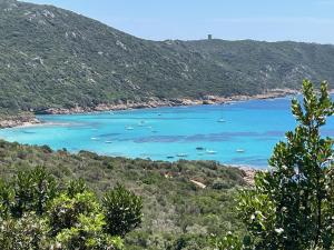 Tentes de luxe CORSICA NATURA #1 : photos des chambres