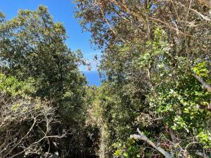 Tentes de luxe CORSICA NATURA #1 : Tente