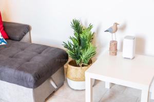 Il Gabbiano Castelsardo img26