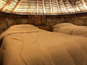 Sofra e Vjeter Sofo Tragjas i Vjeter