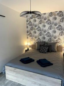 Bel appartement sur cour plein centre ville et parking