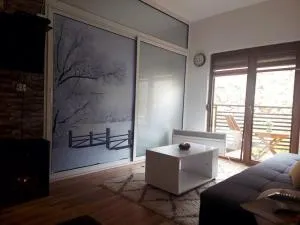 Cosy apartment in Mavrovo - Lazaropole