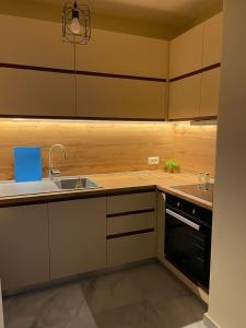 Downtown Deluxe Apartment