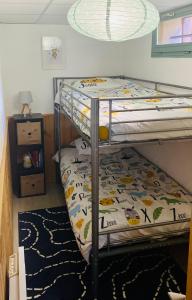 Appartement 4 personnes - CHALET COSY Mont Dore