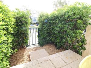 Studio Cabine 6 Pers. avec Terrasse, Loggia et Parking Privé à 2 Pas de la Plage - FR-1-307-234