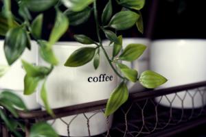 Quiet, and Cozy, MINUTES From Nashville Attractions and Experiences!