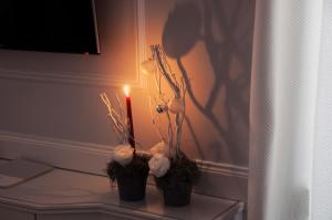 Junior Suite Red