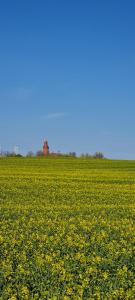 Ferienwohnung im Leuchtturmort Bastorf
