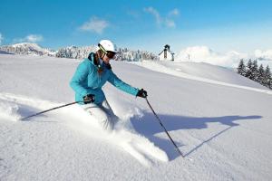 Penthouse in Niederau by Ski Lift & Panoramic Views