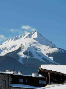 Lovely private apartment in Belelvedre