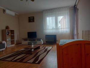 Balaton apartman