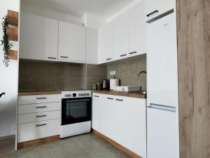 Modern Living Apts - Plaza suite