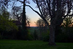 Maisons de vacances Gite au Domaine Terre de Chenes : photos des chambres