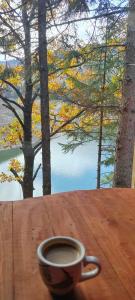 Kuća Veronika Zlatarsko jezero 1