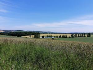 Maisons de vacances Gite au Domaine Terre de Chenes : photos des chambres