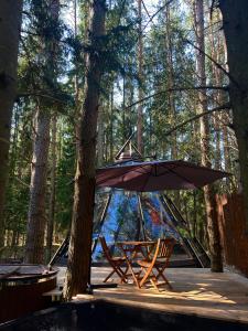 CallTipi glass house