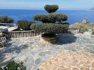 Maisons de vacances Maison de charme avec piscine et jacuzzi : photos des chambres