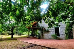 Casa MATRIA - San Ciprián