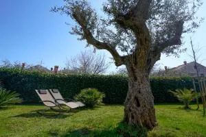 Apartments Palm View - Rovinj