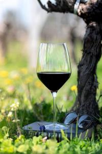 La Tour Bornéo du Château Saint-Laurent