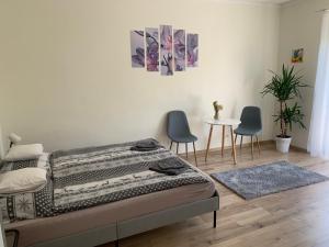 Világos, kellemes lakás, jó közlekedéssel