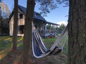 Młyńska Chata - drewniany, całoroczny dom w sosnowym lesie