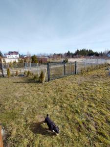 Domek na wyłączność LAWENDA