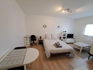 Appartements Studio calme Brest hyper centre : photos des chambres