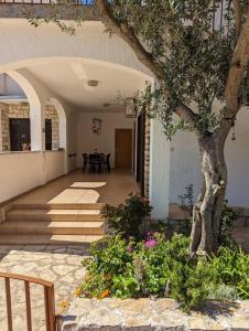 Two bedrooms apartment 50m from the beach