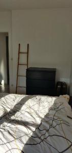 Appartements Trefilerie : photos des chambres