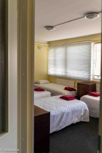 Sadama Hostel & Caravan Camping