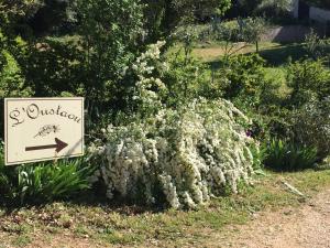 B&B / Chambres d'hotes l'Oustaou B&B Piscine & Spa : photos des chambres