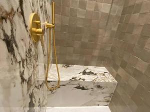 Le petit Versailles - Appartement centre Grenoble