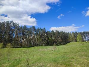 Domki z bali u Ireny Mazury