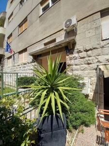 Guesthouse Yucca