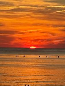 SURF HOUSE DREAMERS COAST