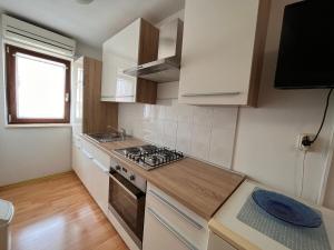 Apartment Miki-free parking