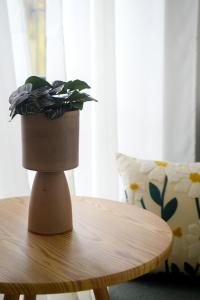 Casa Pelagia Cozy House Big Garden