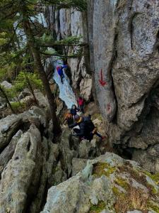 Bjelolasica “Cimbal”