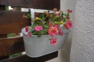 DaRoom in the heart of Plovdiv