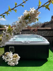 Къща за гости Александра