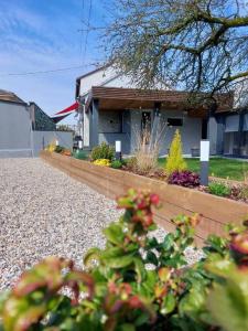 Maisons d'hotes Gite Au Pommier Fleuri : photos des chambres