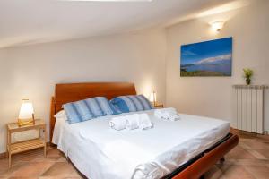 Alghero Gilbert Ferret img36