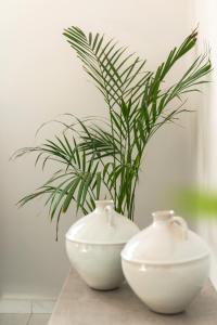 Emelia Cozy Apartment