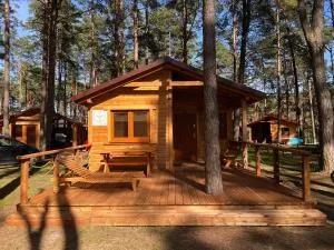 Wdzydzkie Sioło - 韦茨泽基斯韦斯基