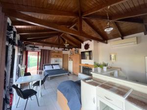 Country Lux Apartment near Airport