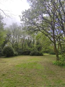 Maisons de vacances Lodge avec spa au coeur de Broceliande : photos des chambres