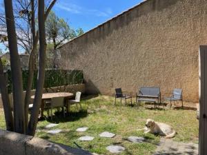 Maisons de vacances Jolie petite maison Avignon - Montfavet : photos des chambres